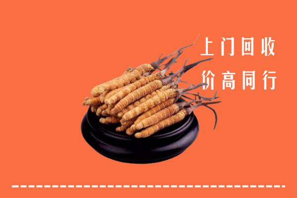 高价求购：雅江县回收散虫草