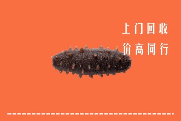 雅江县回收海参