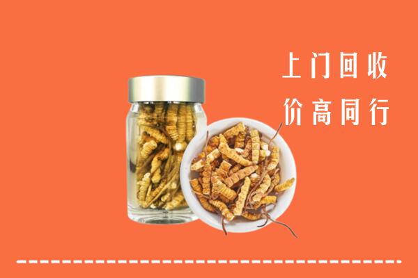 雅江县回收冬虫夏草