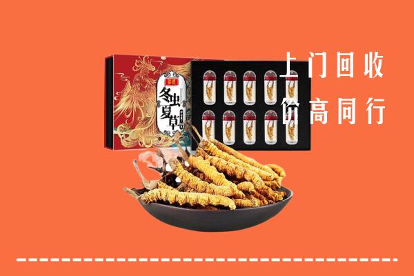 雅江县回收虫草